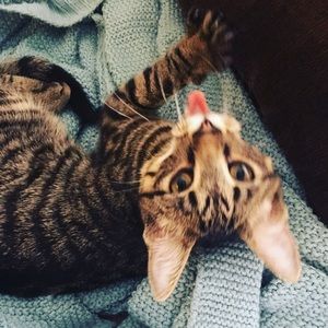 Meet your Posher, Hannah